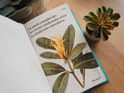 Le guide complet des plantes médicinales pour soulager les douleurs articulaires